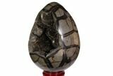 Polished Septarian Puzzle Geode - Black Crystals #113659-2